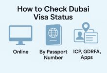 How to Check Dubai Visa Status