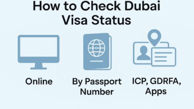 How to Check Dubai Visa Status