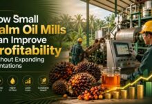 How Small Palm Oil Mills Can Improve Profitability Without Expanding Plantations