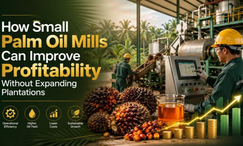 How Small Palm Oil Mills Can Improve Profitability Without Expanding Plantations